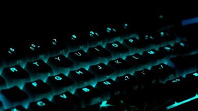 gaming solutions with plugboxlinux